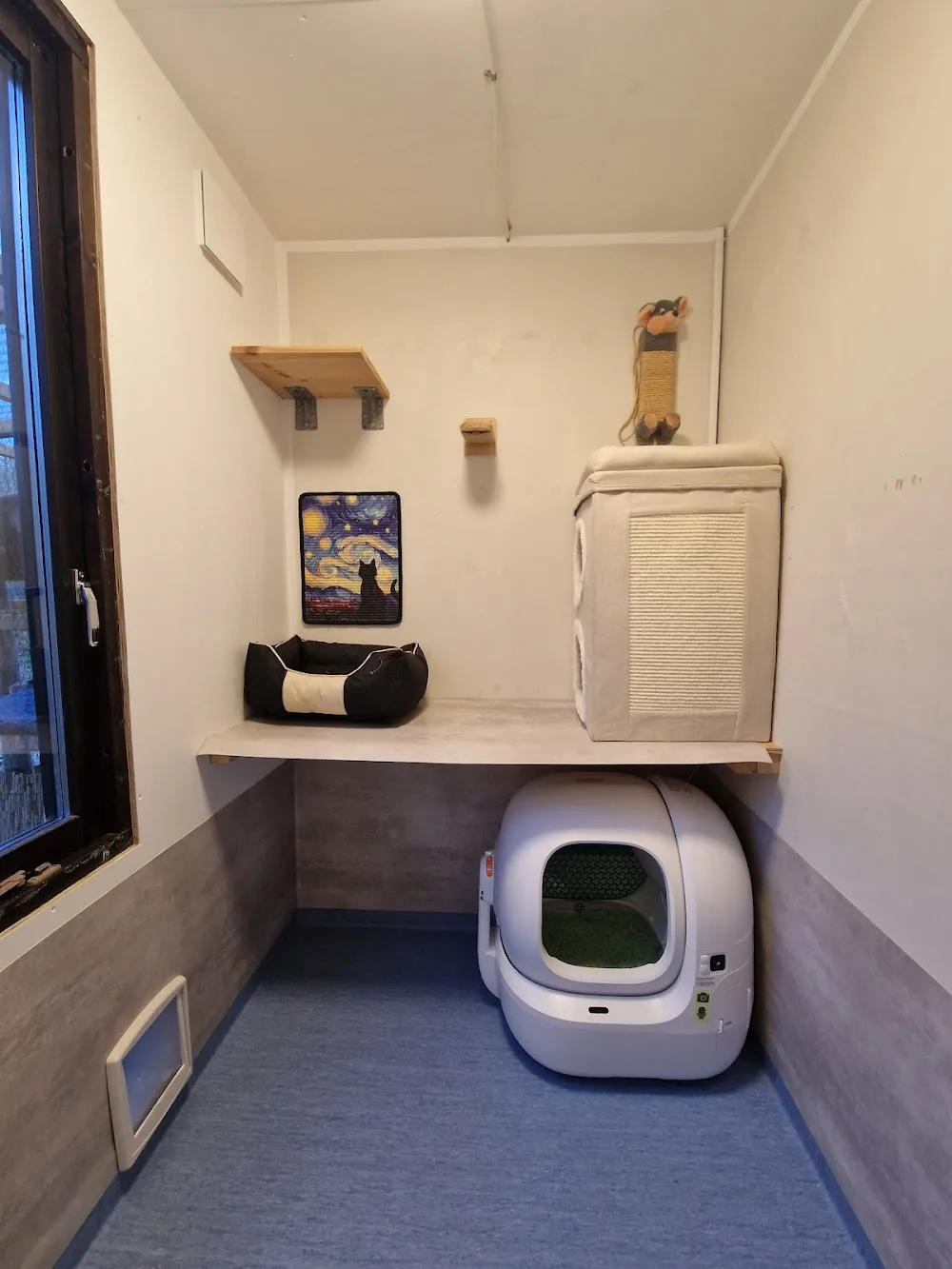 Älmhults katthotell - Blekinge pet otel görseli 2