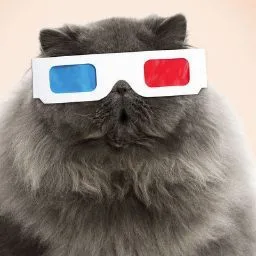 Happy Cat Hotel - Blekinge pet otel görseli 4