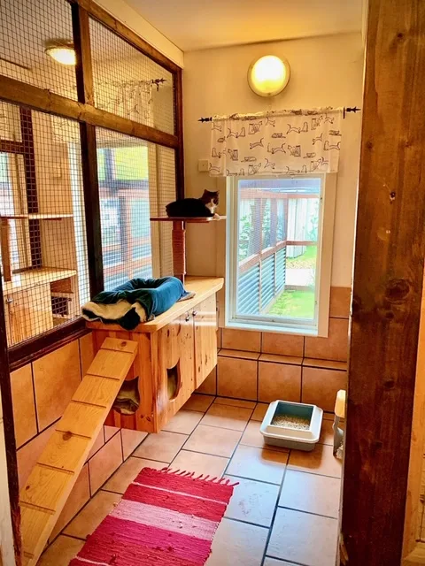 Käglinge Katthotell - Blekinge pet otel görseli 3