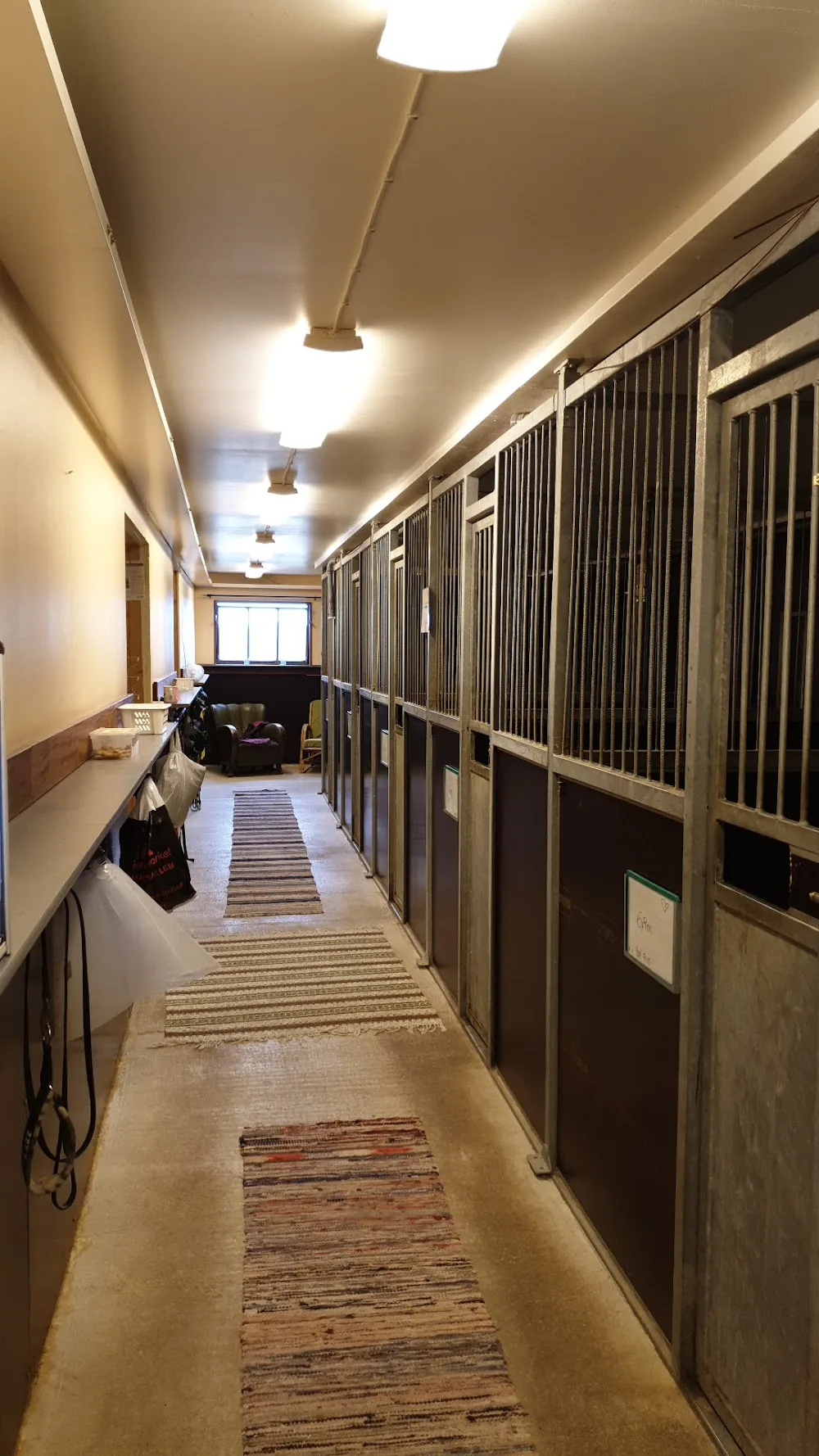 Karlshamns hundhotell ab - Blekinge pet otel görseli 3