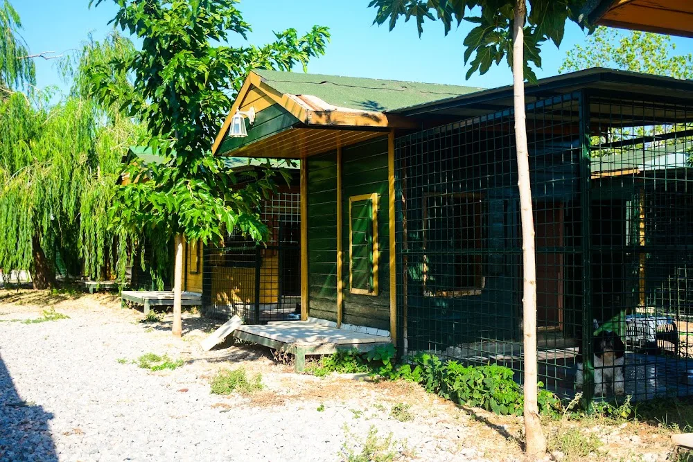 Bobyland Köpek Oteli ve Köpek Eğitim Merkezi - Izmir pet otel görseli 7