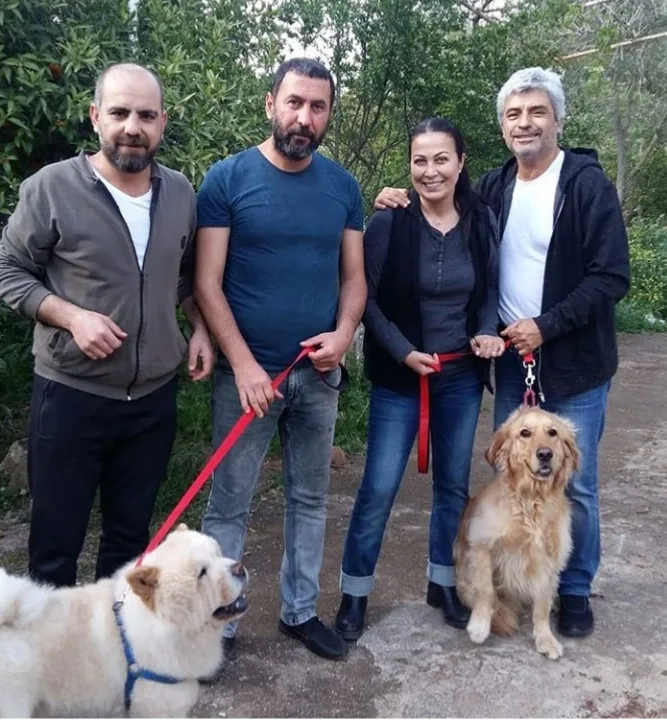 Bodrum Fun Pet Otel ve Köpek Eğitim Merkezi - Muğla pet otel görseli 3