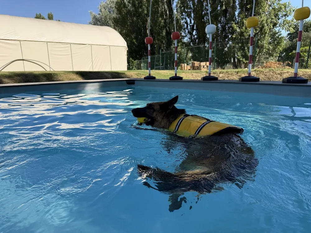 FD Center Bologna - Pensione Cani & Gatti, Centro Cinofilo - Bologna pet otel