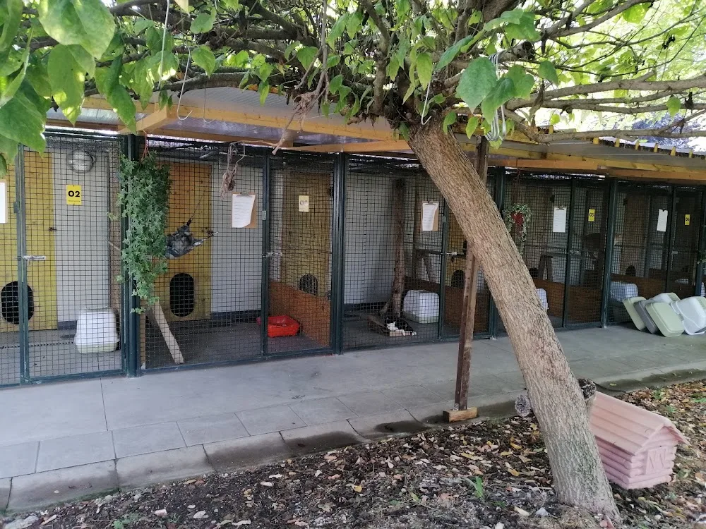 Felix Pensione per Cani - Bologna pet otel görseli 7