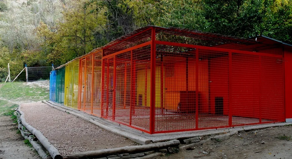 Pensione per Cani Arcobaleno Bologna - Bologna pet otel