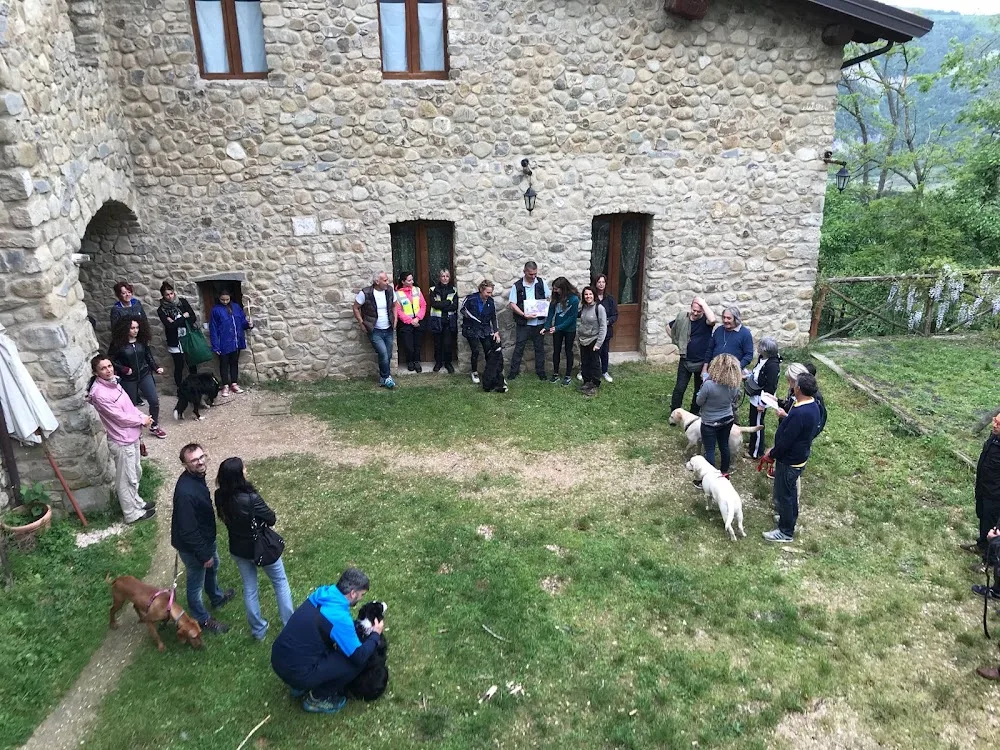 Pensione per Cani Arcobaleno Bologna - Bologna pet otel görseli 7