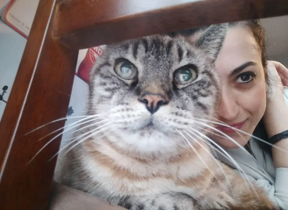 VanSabra Dog sitter Bologna - Bologna pet otel görseli 3