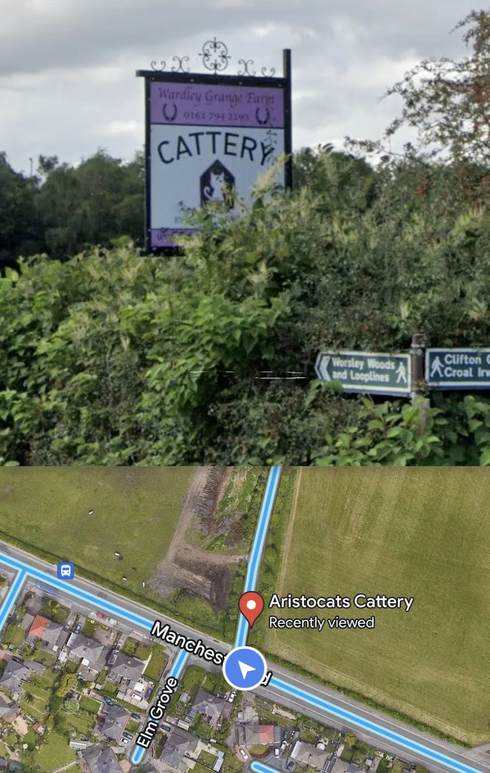 Aristocats Cattery - Bolton pet otel görseli 3