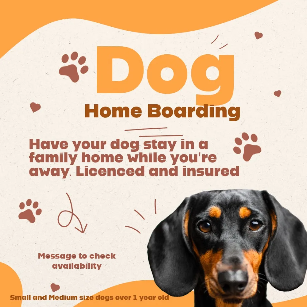 Dog Home Boarding with Louise - Bolton pet otel