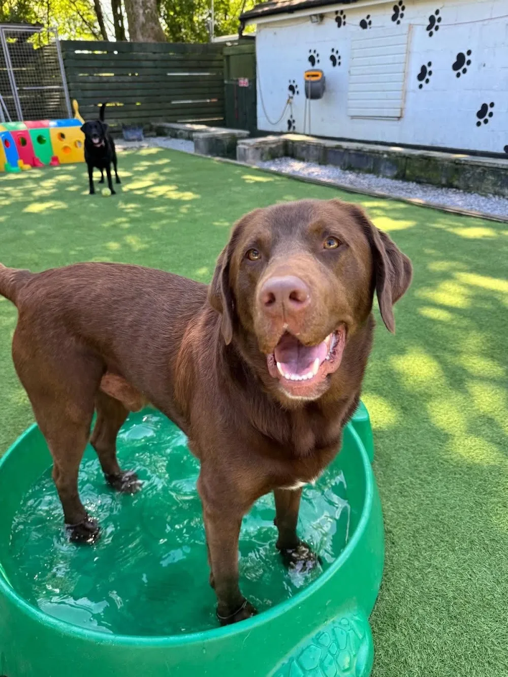 Farm Cottage Boarding - Bolton pet otel