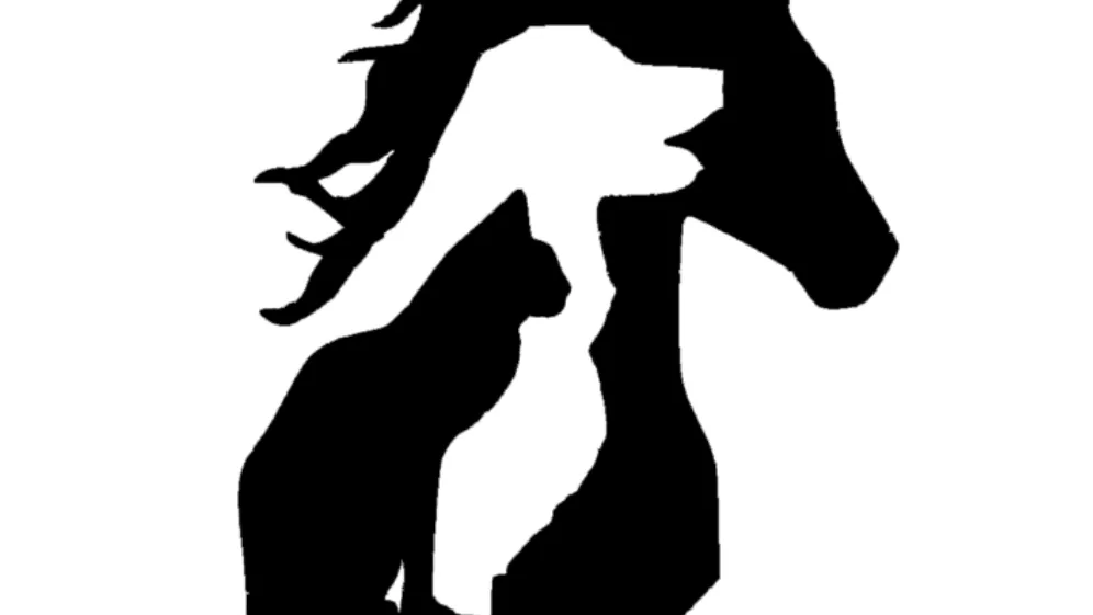Ladyshore Grange Boarding Kennels & Cattery - Bolton pet otel