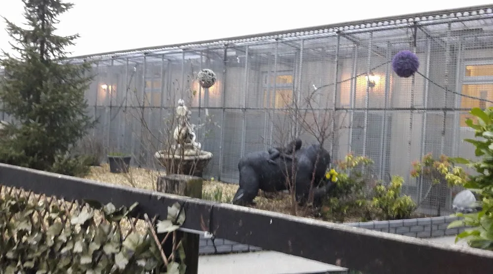 Moss Hall Farm Cattery - Bolton pet otel görseli 3