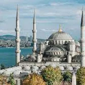 Bomonti Kedi Köpek Evi - Istanbul pet otel görseli 3