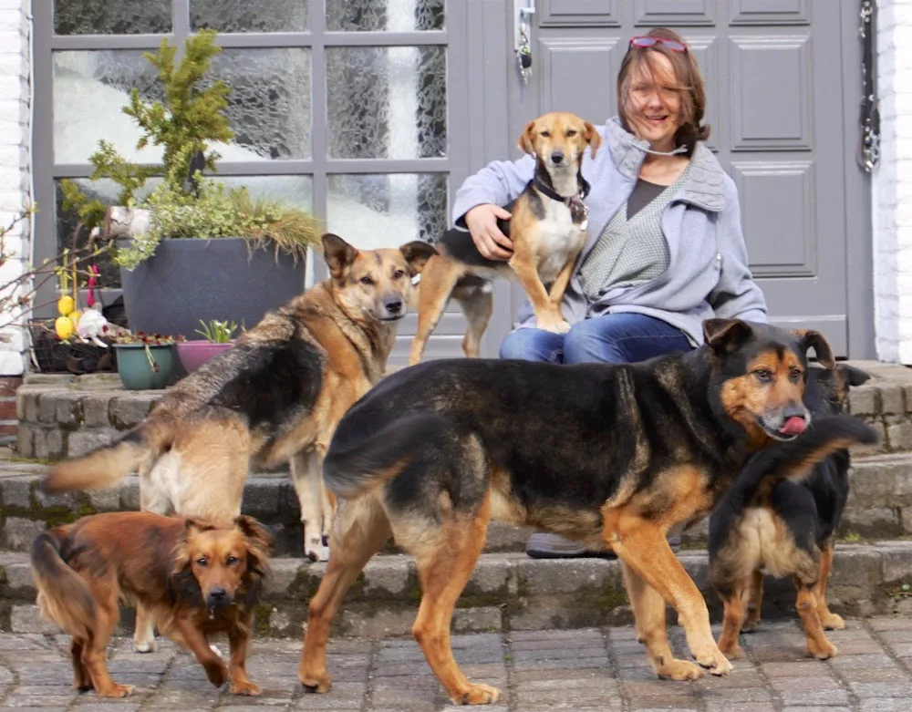 Familienhunde-Nord - Bönningstedt pet otel