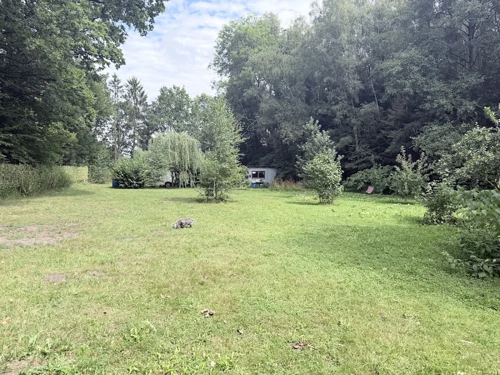 Hundekollektiv-Hundebetreuung&Hundesitting - Bönningstedt pet otel görseli 3