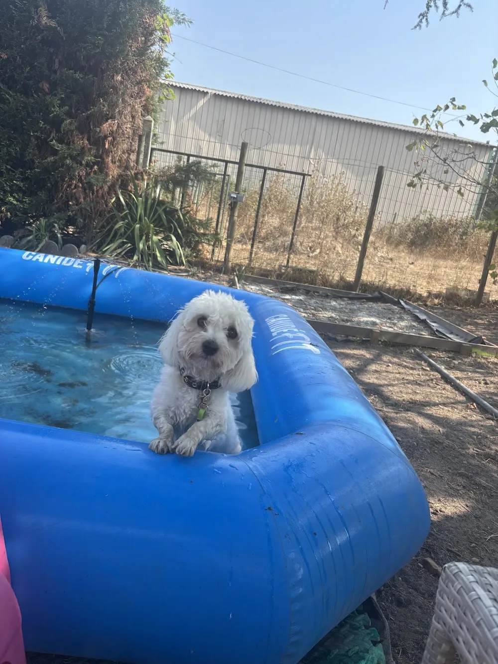 Domaine du fort de pile - Bordeaux pet otel görseli 7