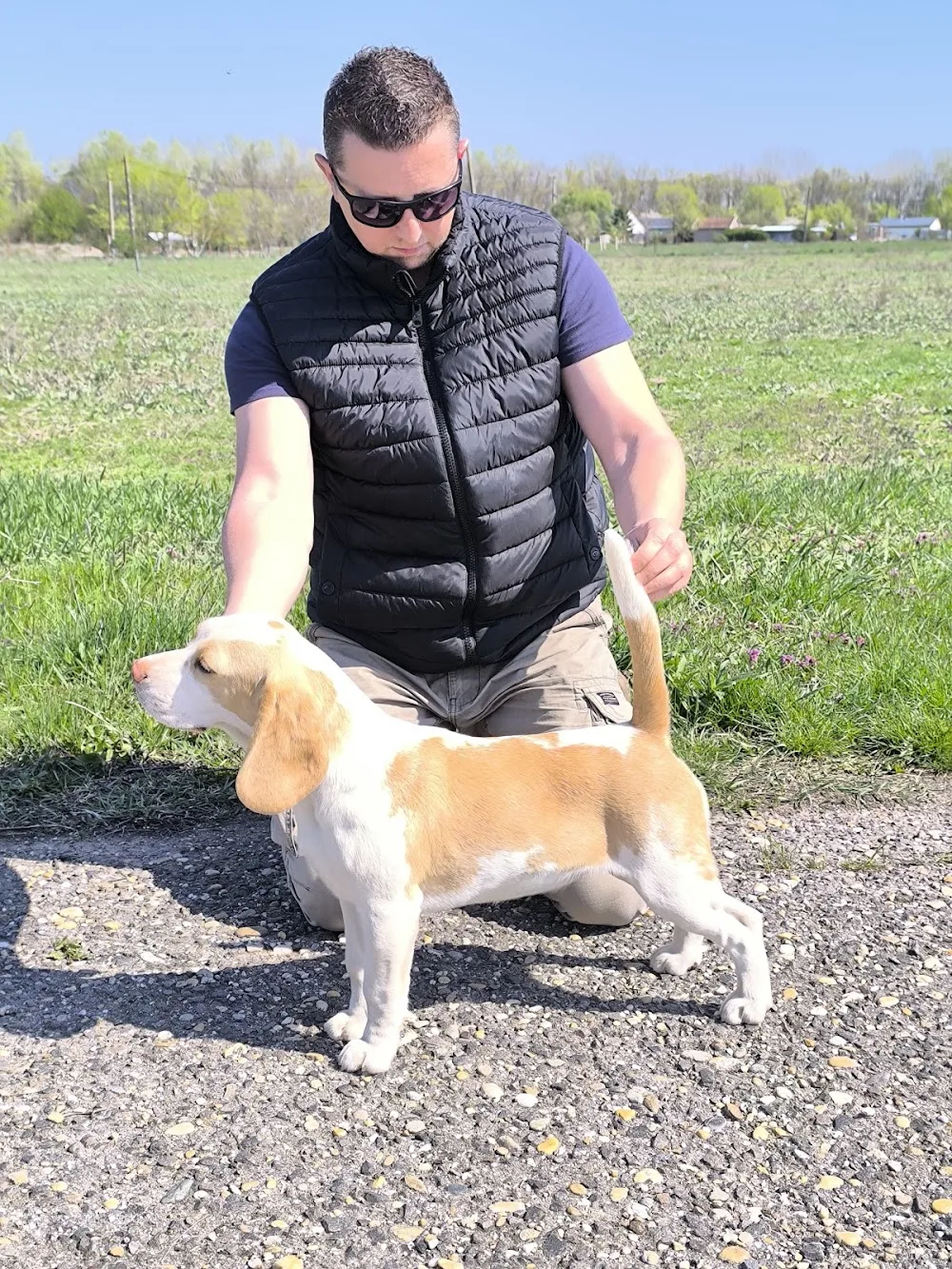 Angyali Annie Kennel - Borsod-Abaúj-Zemplén pet otel görseli 3