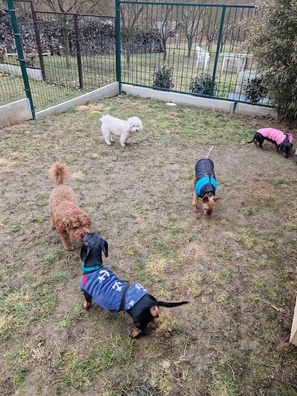 BOL-DOG Kutyapanzió - Borsod-Abaúj-Zemplén pet otel