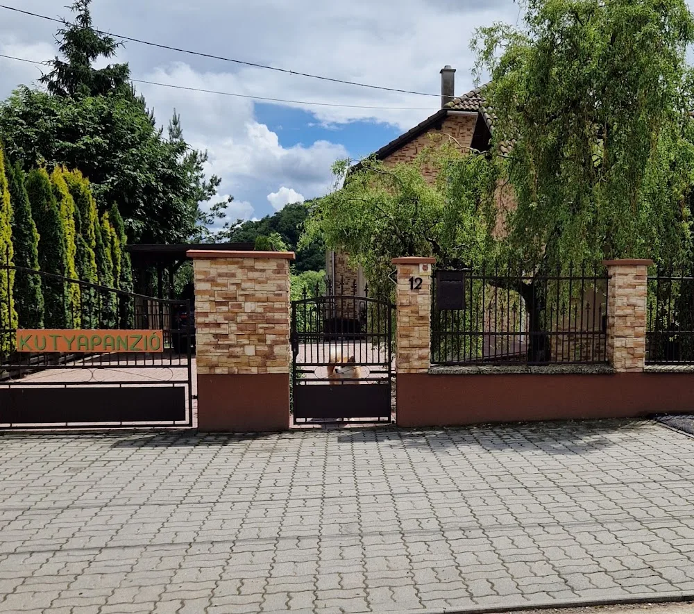 BOL-DOG Kutyapanzió - Borsod-Abaúj-Zemplén pet otel görseli 3