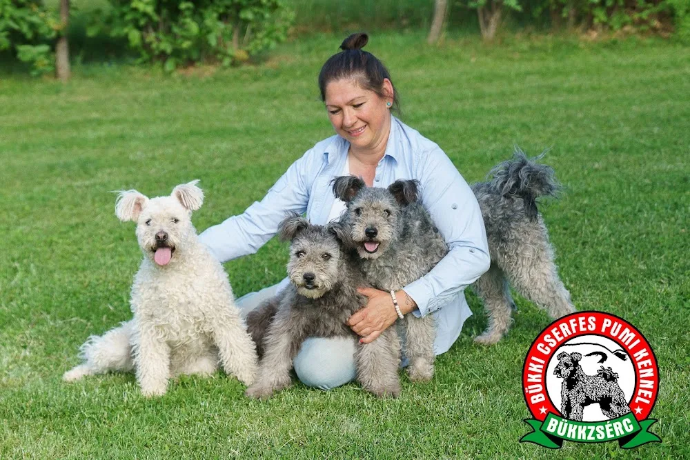 Bükki Cserfes Pumi kennel - Borsod-Abaúj-Zemplén pet otel görseli 3