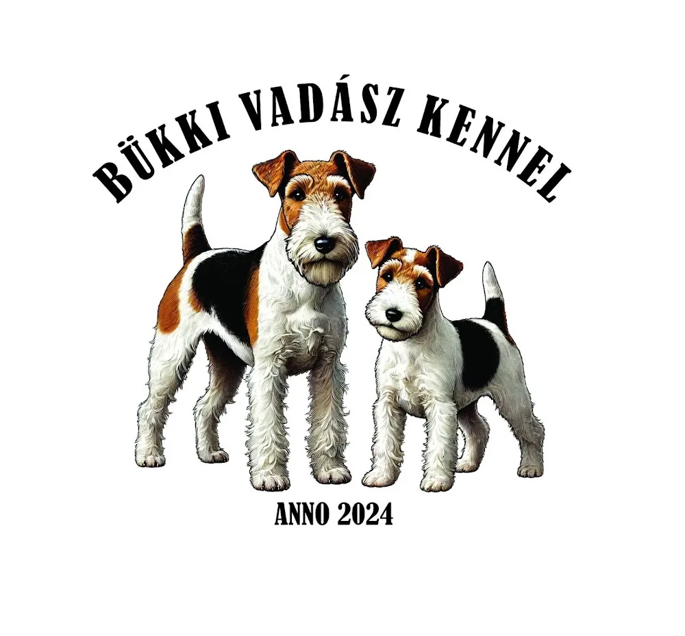 Bükki vadász kennel - Borsod-Abaúj-Zemplén pet otel