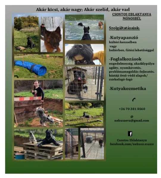 Csontos Eblaktanya kutyapanzió és kutyakiképző pálya - Borsod-Abaúj-Zemplén pet otel