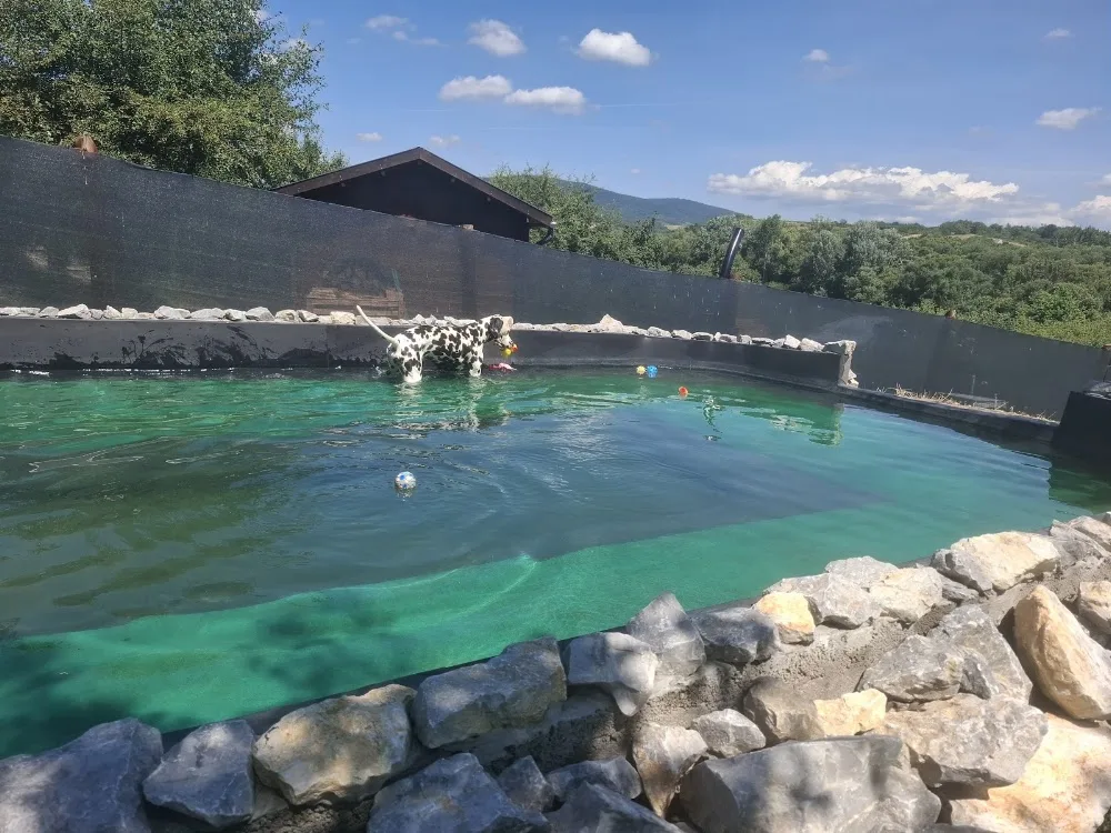 Doggy Hilton Hotel & Wellness Physiotherapy - Borsod-Abaúj-Zemplén pet otel
