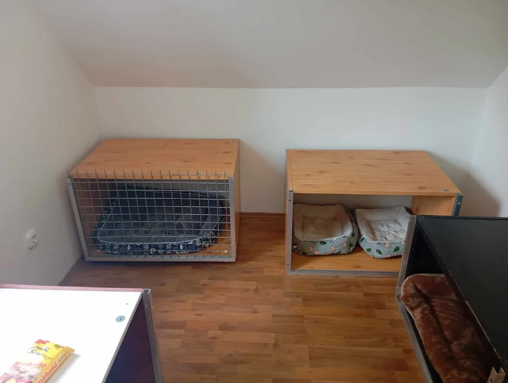 dogseason kutyapanzió - Borsod-Abaúj-Zemplén pet otel görseli 3