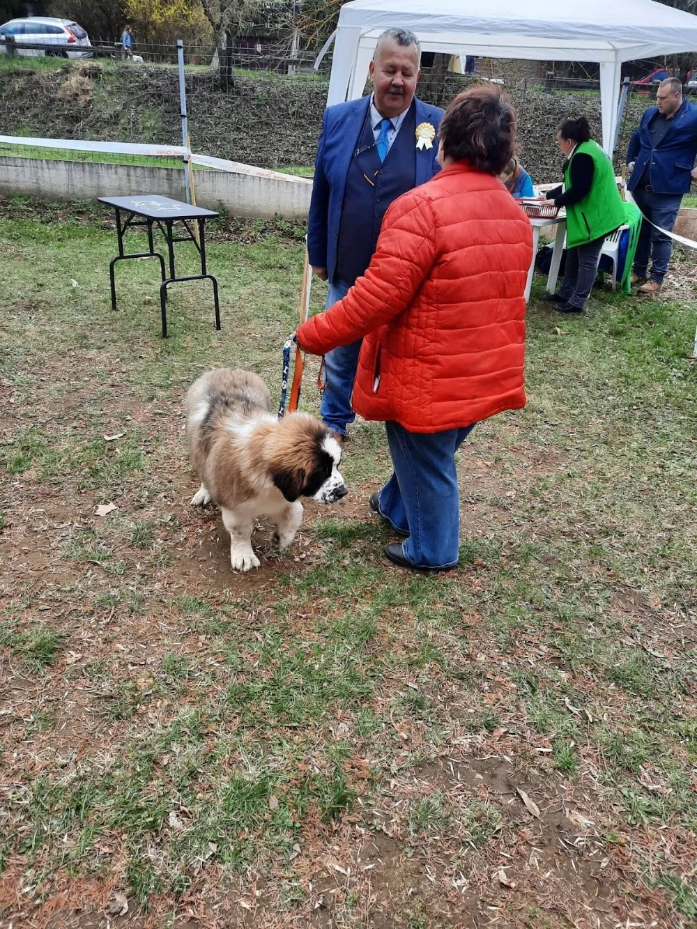 Egresvölgyi kennel - Borsod-Abaúj-Zemplén pet otel görseli 3