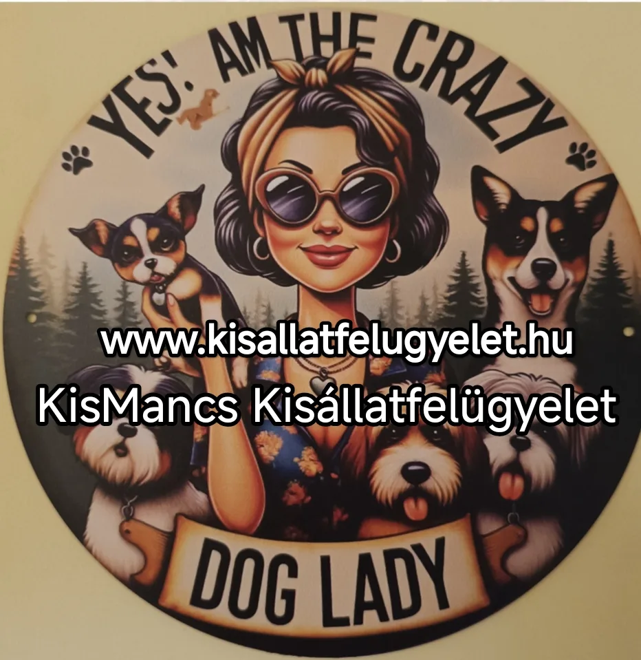 KisMancs kisállatfelügyelet - Borsod-Abaúj-Zemplén pet otel görseli 2