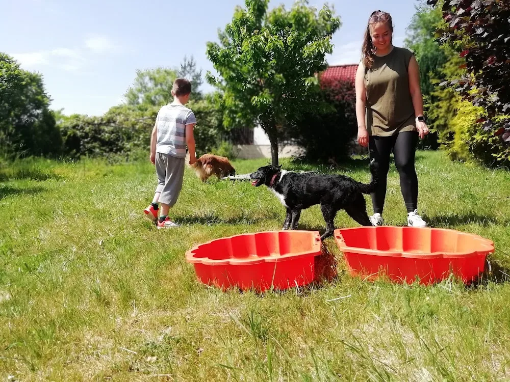Pünkösdhegyi Kutyasuli, Kutya Panzió és Kutyás Klub - Borsod-Abaúj-Zemplén pet otel görseli 3