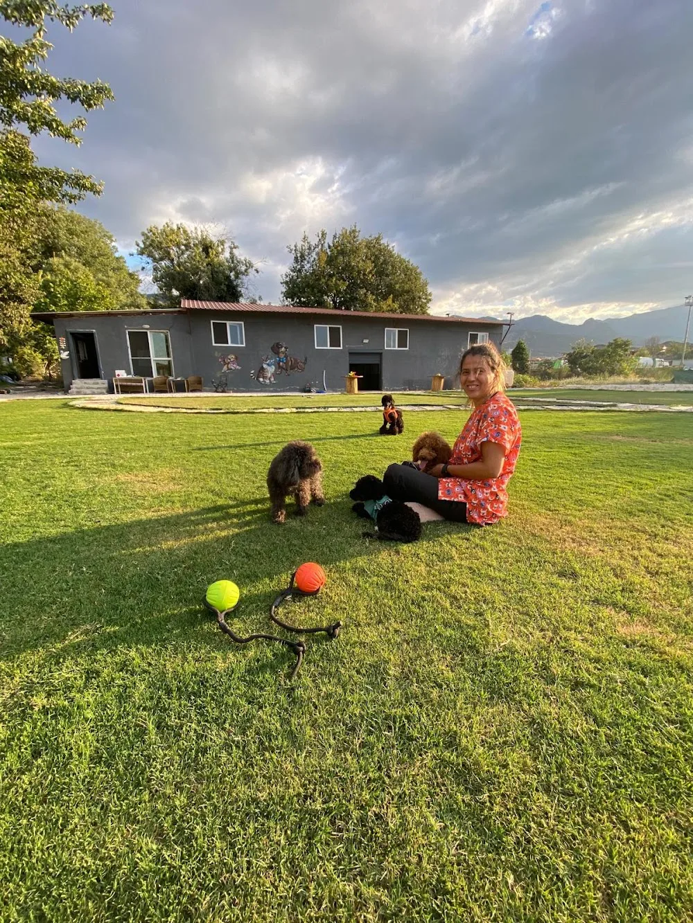 Bosphorus Köpek Oteli - Denizli pet otel görseli 2