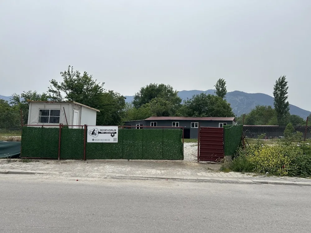 Bosphorus Köpek Oteli - Denizli pet otel görseli 3