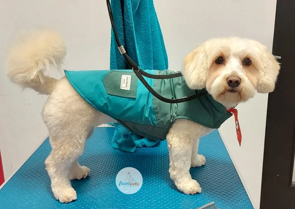 Cabinet veterinar /Grooming/ Hotel FrumiPets - Botoșani pet otel