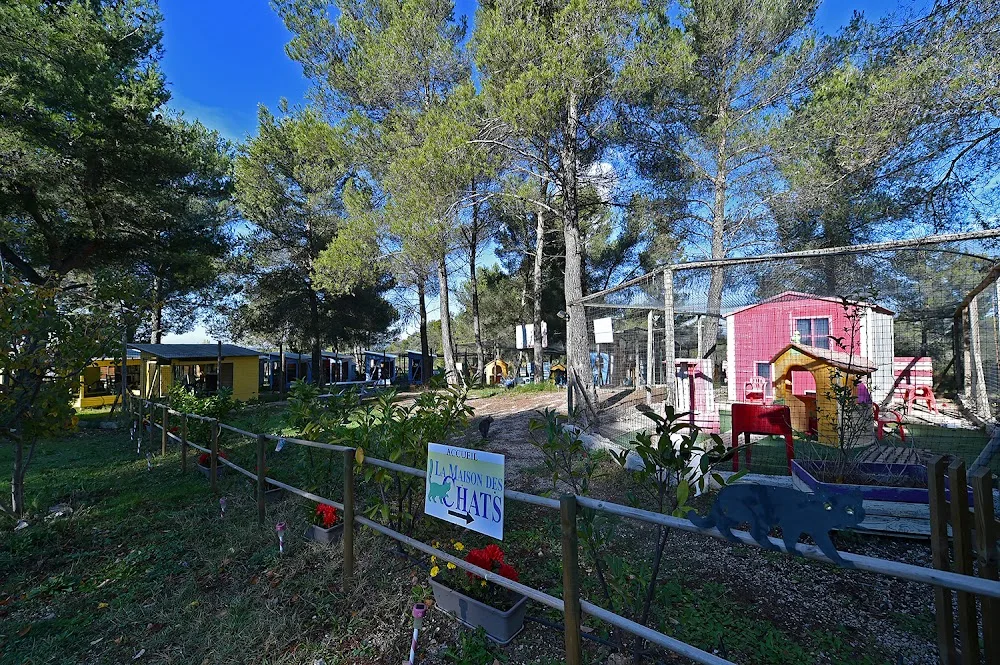 ABVA La Maison des Chats - Bouches-du-Rhône pet otel