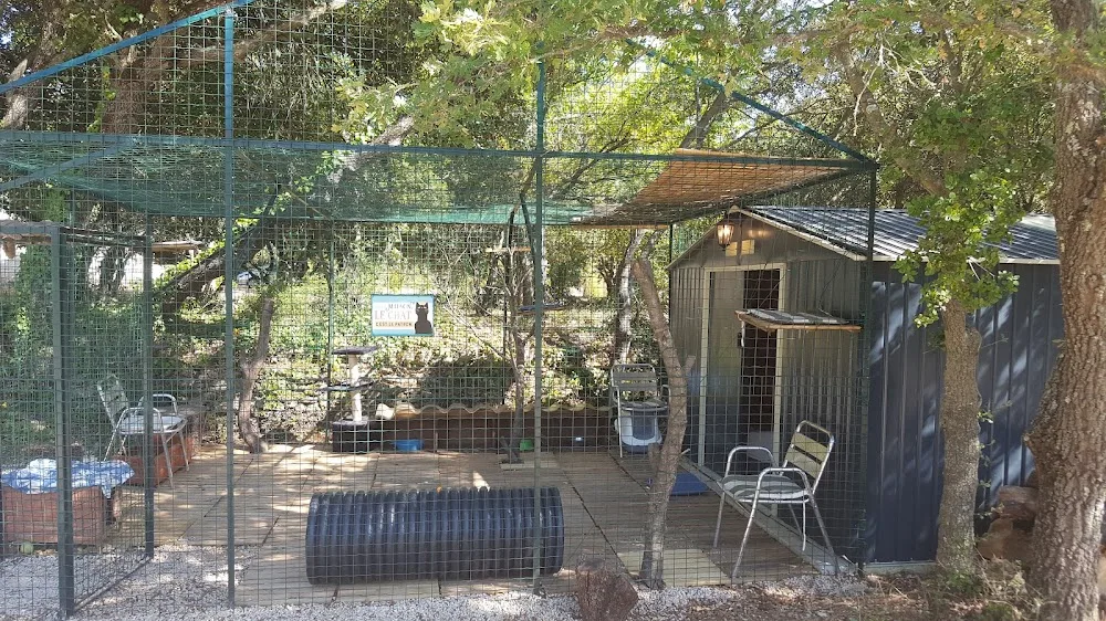 AU BONHEUR DES CHATS - Bouches-du-Rhône pet otel
