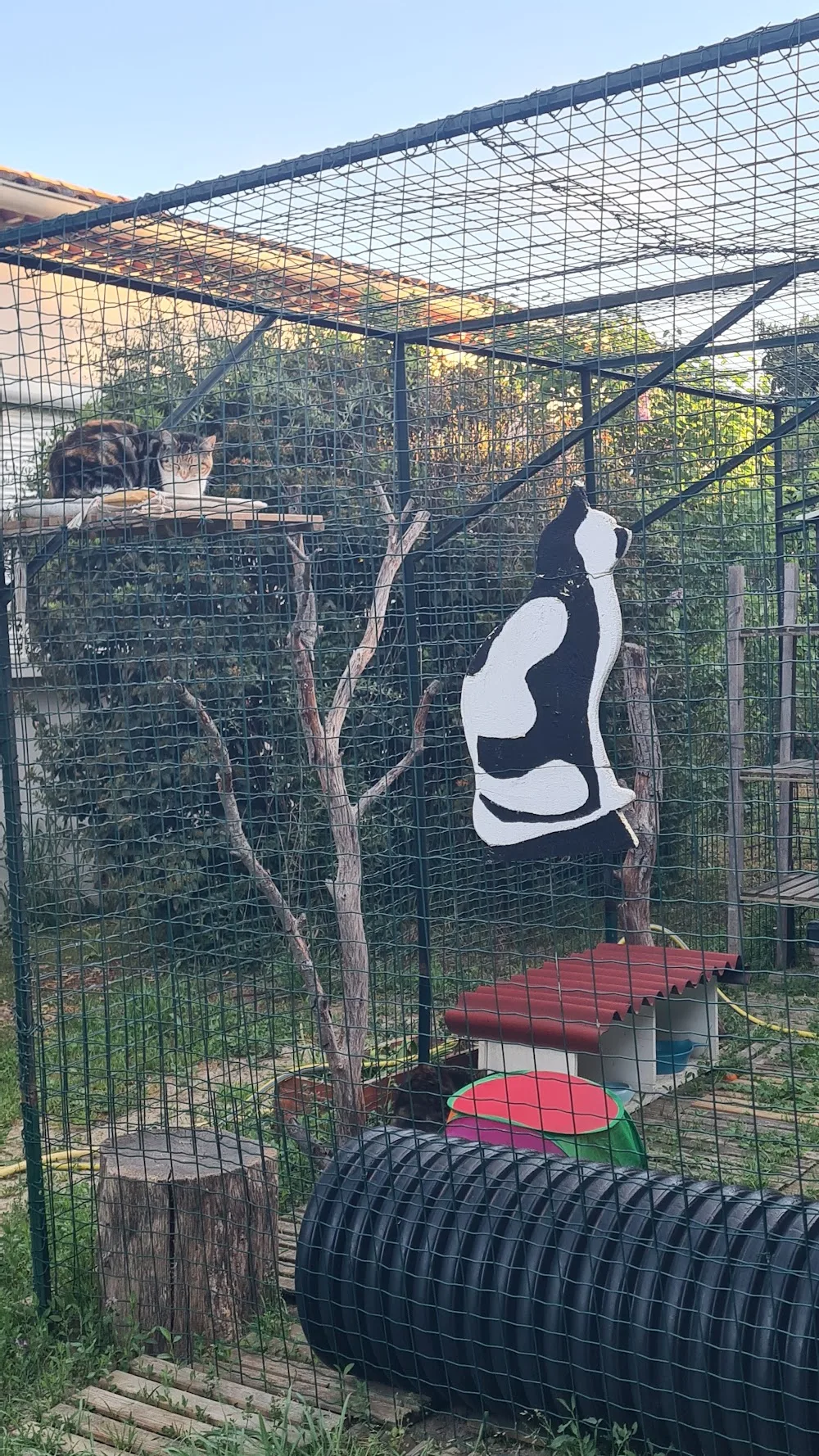 AU BONHEUR DES CHATS - Bouches-du-Rhône pet otel görseli 3
