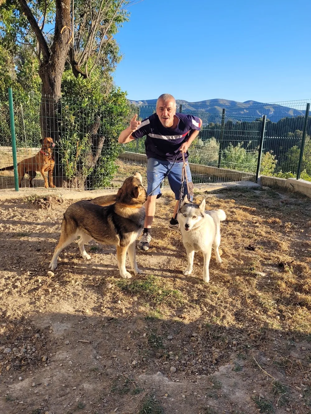 keepdog pension canine - Bouches-du-Rhône pet otel