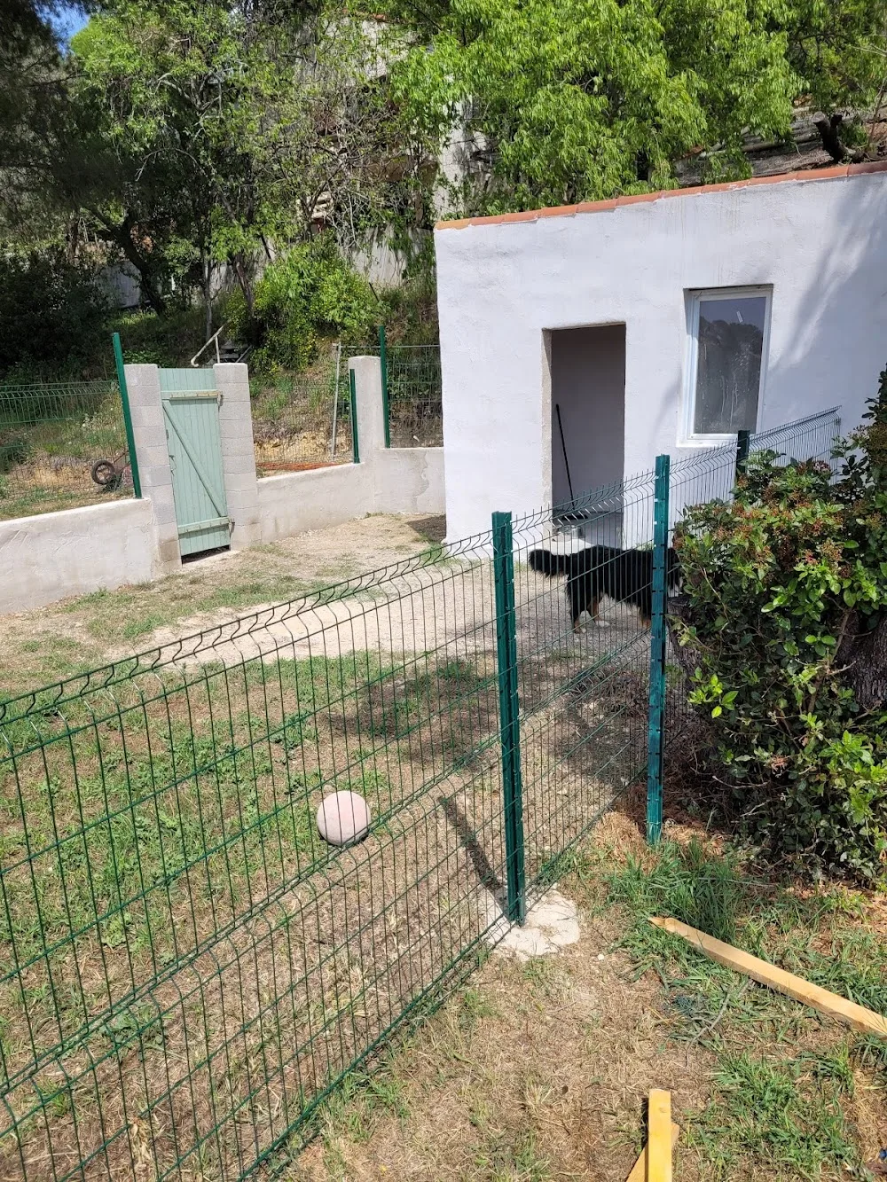 keepdog pension canine - Bouches-du-Rhône pet otel görseli 3