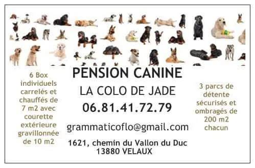 LA COLO DE JADE - Bouches-du-Rhône pet otel