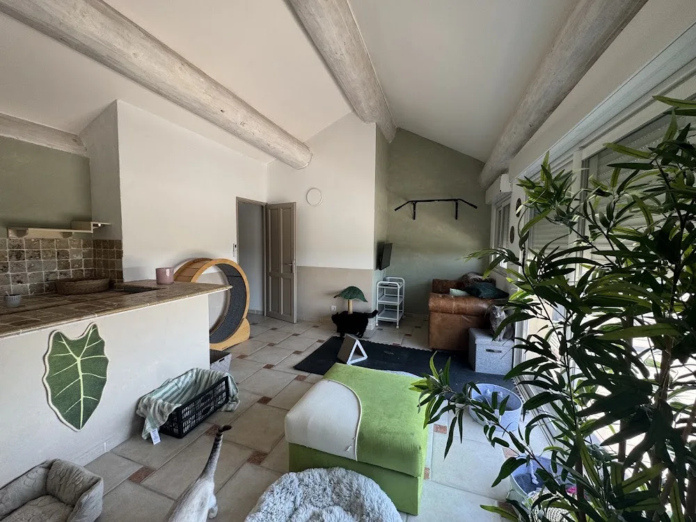 Les petits coussinets - Bouches-du-Rhône pet otel görseli 3