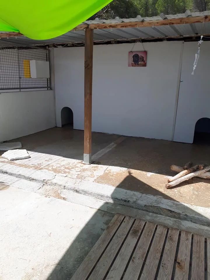 Pension Amour De Chiens - Bouches-du-Rhône pet otel görseli 3