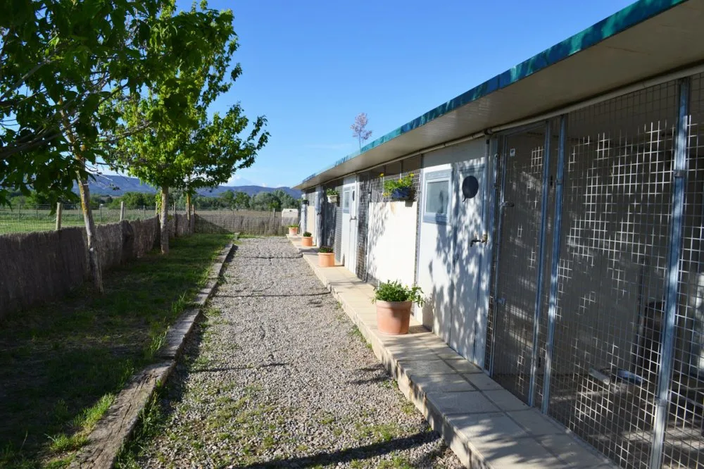 Pension Canine du Domaine de la Vallée de l'Arc - Bouches-du-Rhône pet otel görseli 3