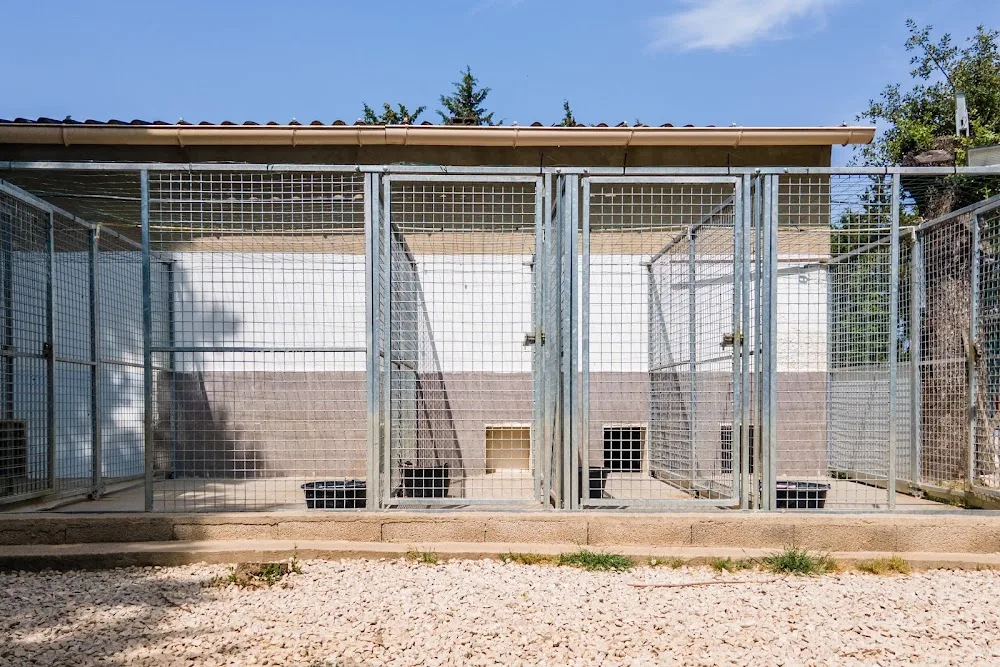 Pension Canine Eyragues - Bouches-du-Rhône pet otel görseli 2