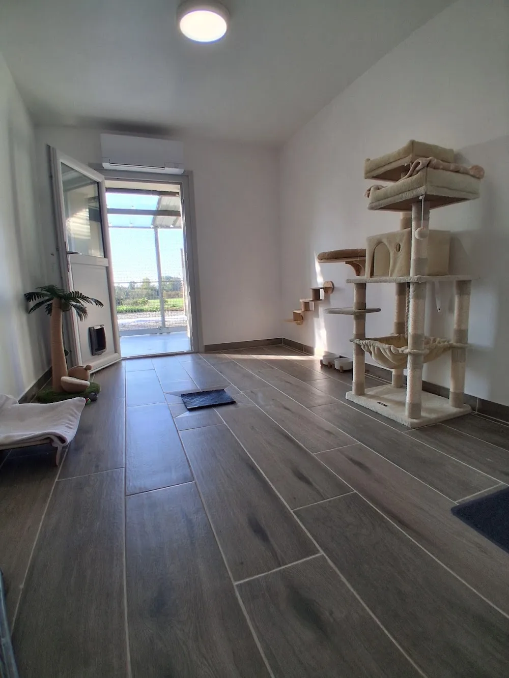 Felis Canis - Pension pour chats & vente de croquettes - Bourgogne-Franche-Comté pet otel