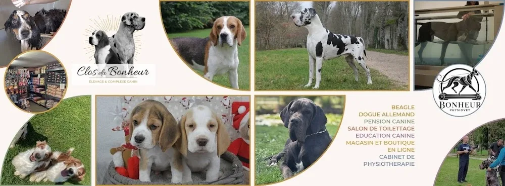 Le Clos Du Bonheur (Élevage, Pension canine, Animalerie, Toilettage, Education) - Bourgogne-Franche-Comté pet otel