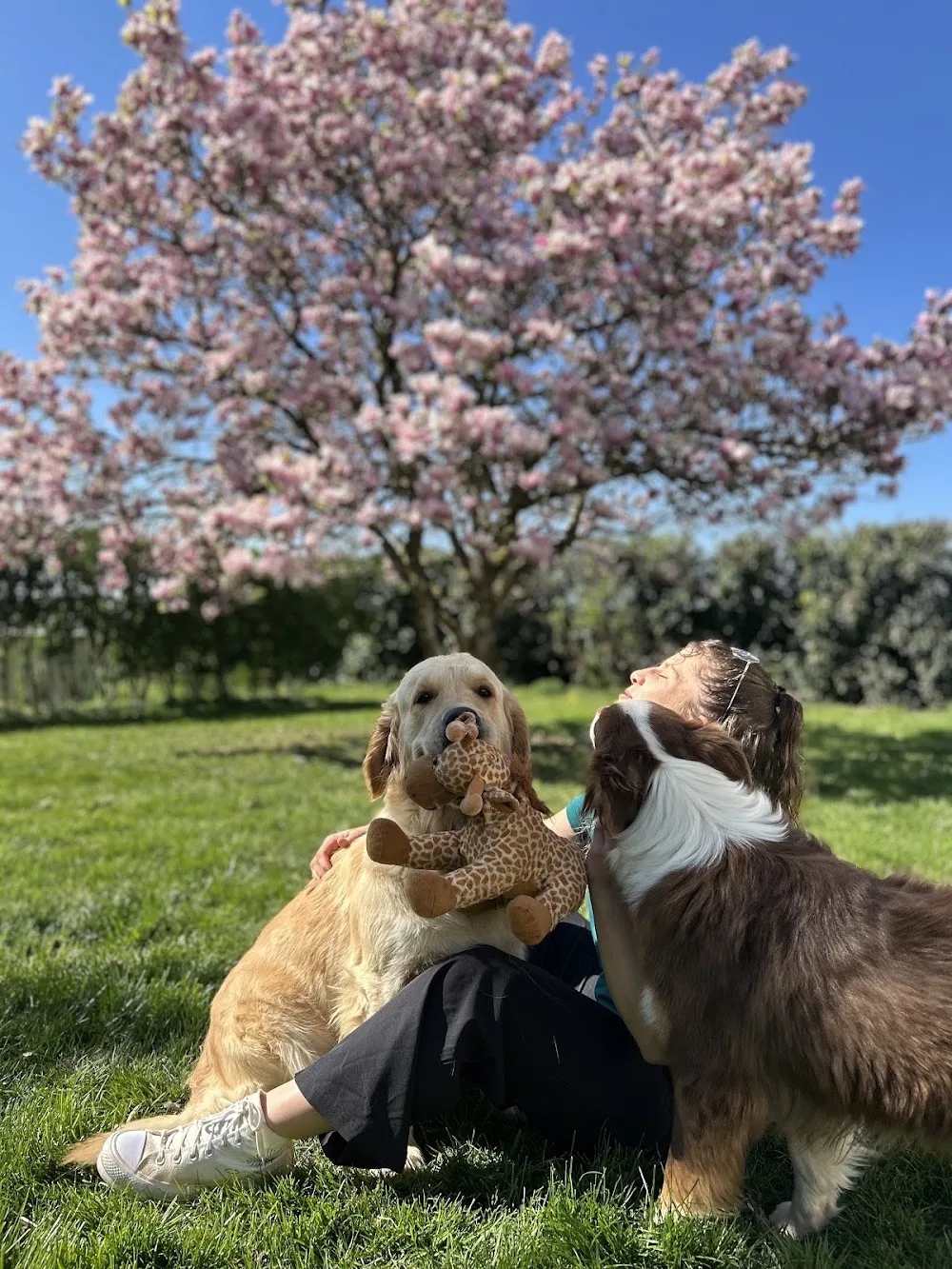 Pension canine familiale La Douceur d’Uska - Bourgogne-Franche-Comté pet otel görseli 2