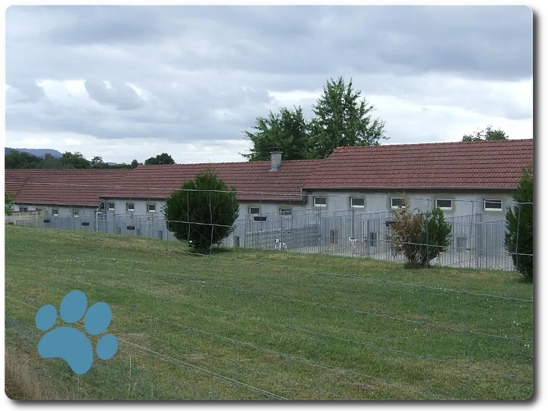 pension canine & féline des Crayes - Bourgogne-Franche-Comté pet otel görseli 2