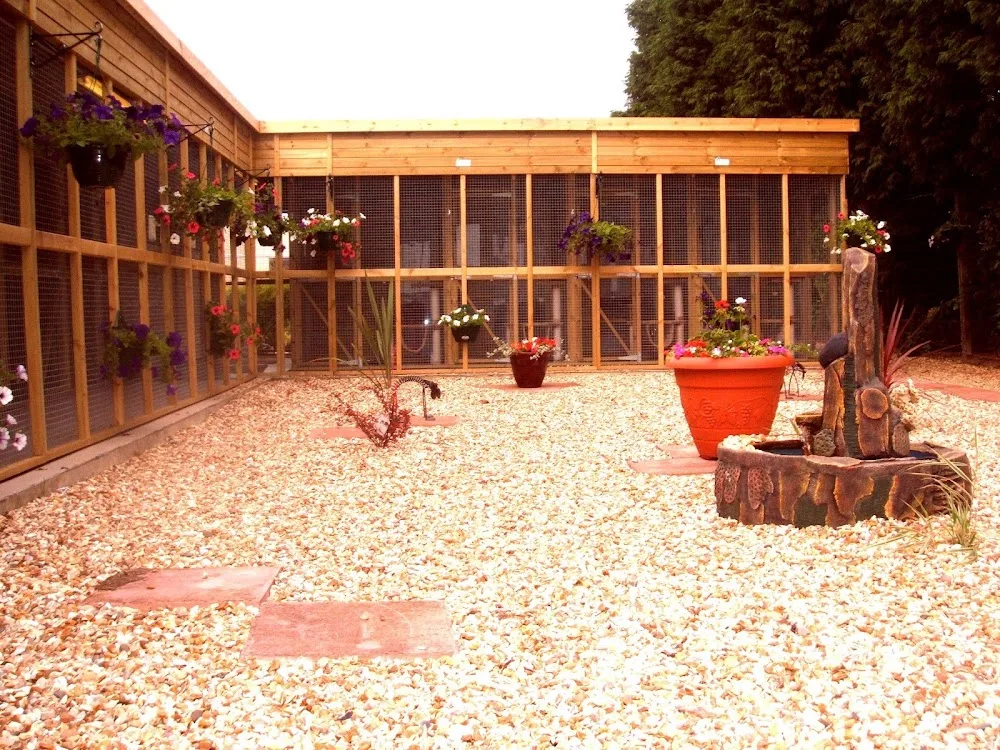 Abi's Hotel For Cats - Bourne pet otel