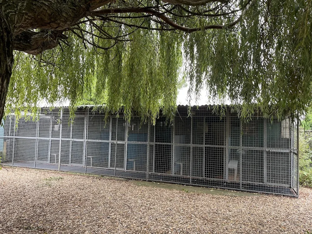 Bassodon Boarding Cattery - Bourne pet otel